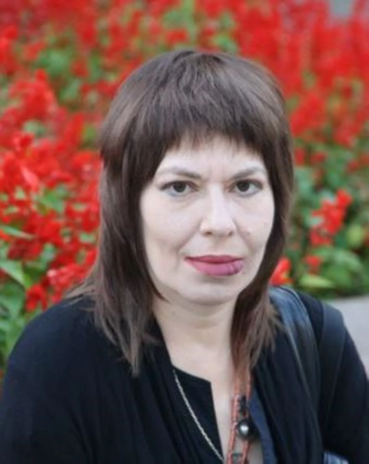 Hersonschi Luminița, Literatură, Ucraina