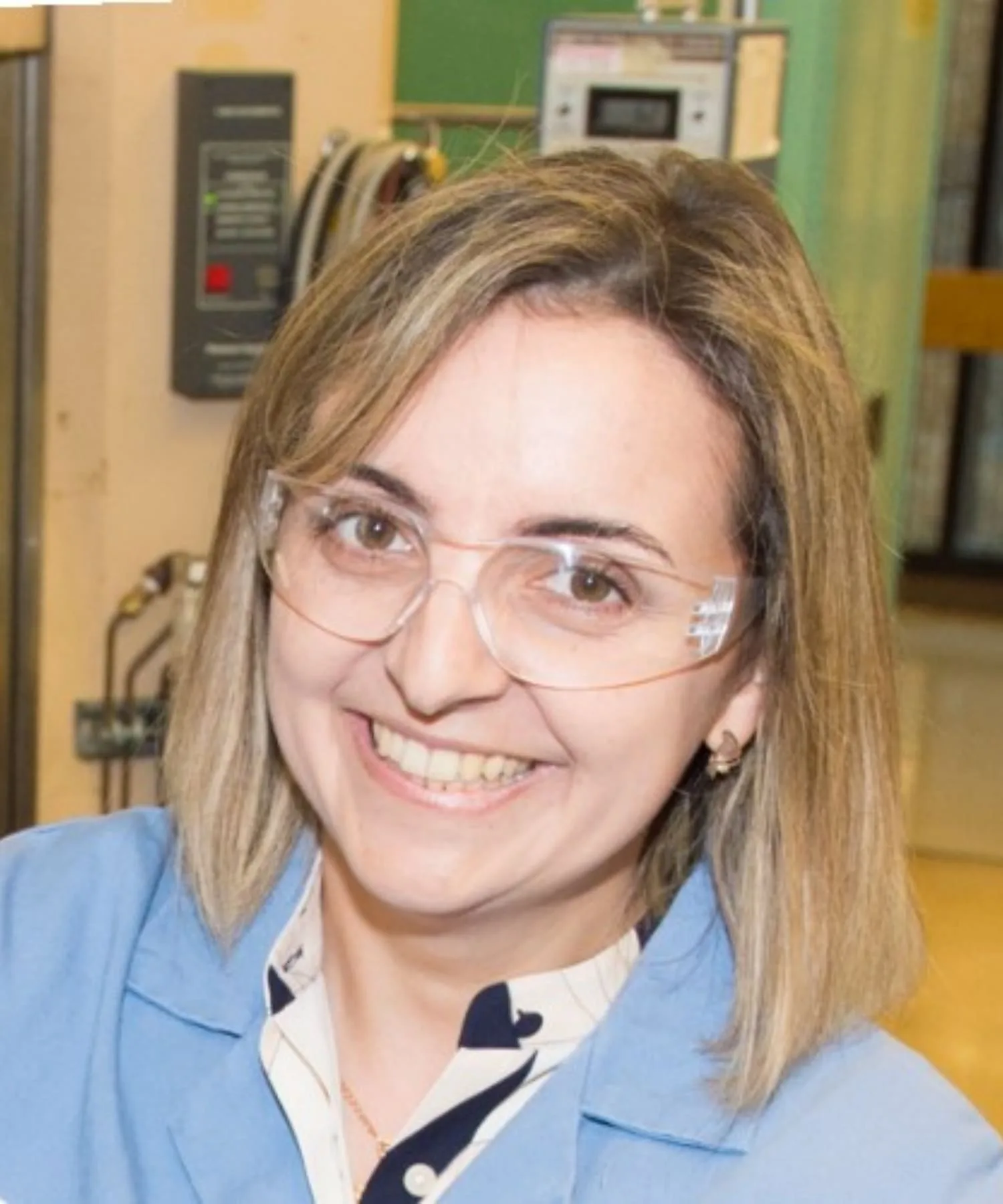 Bezer Silvia, Bussiness, Statele Unite ale Americii