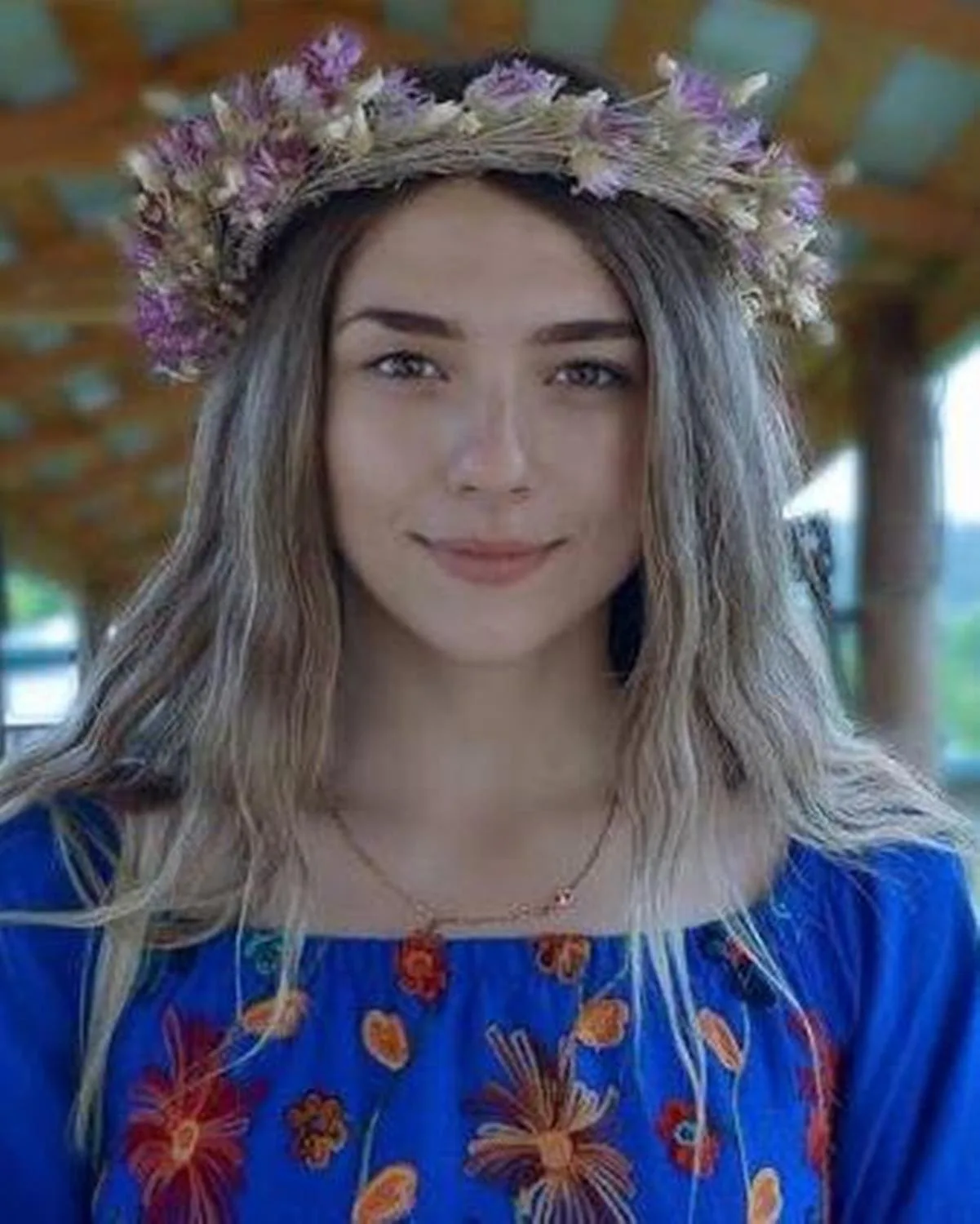 Crudu Ileana, Tehnologii, Republica Moldova