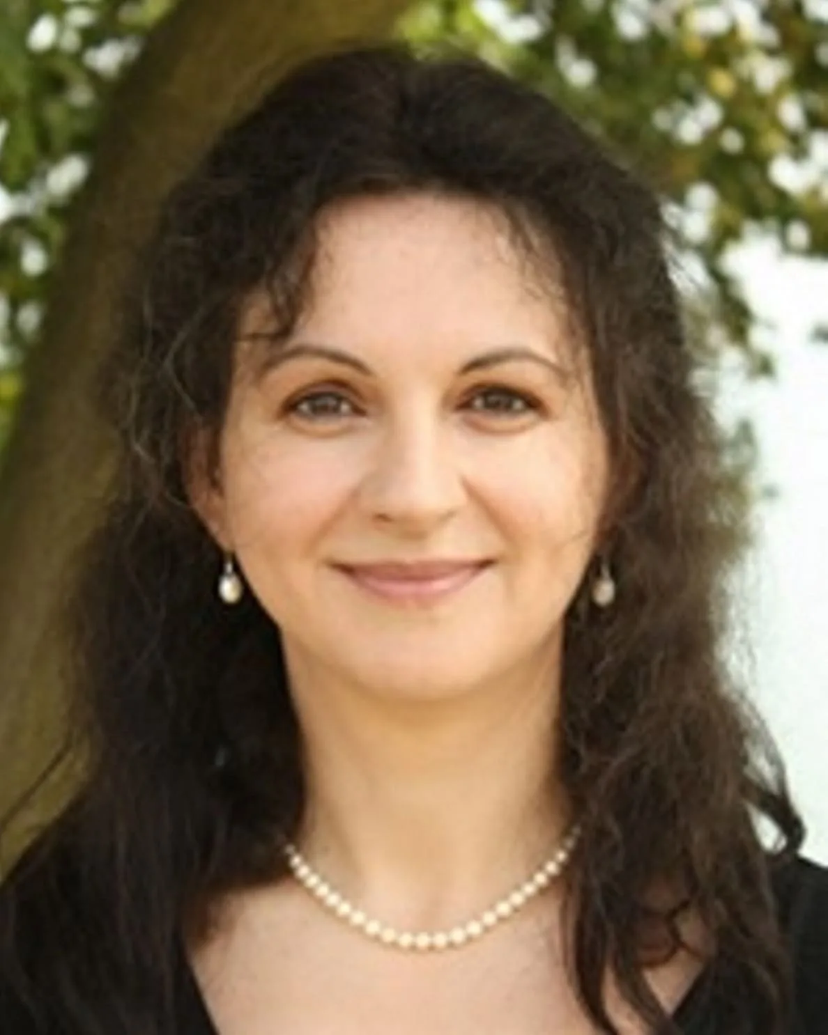 Marian Viorica, Educație, Statele Unite ale Americii