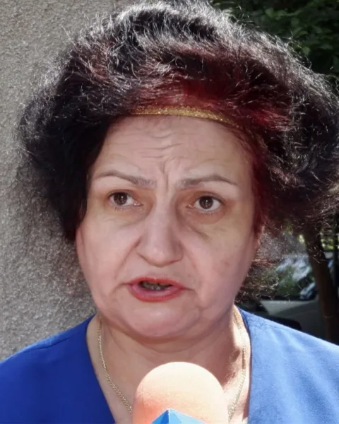 Lari Leonida, Literatură, România