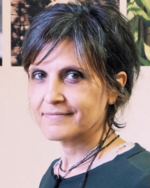 Grosu Alvina, Education, Ireland